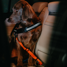 Laden Sie das Bild in den Galerie-Viewer, Hunde-Sicherheitsgurt