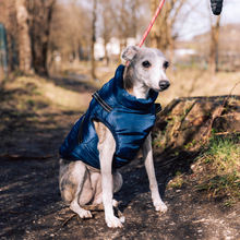 Laden Sie das Bild in den Galerie-Viewer, Doggykingdom® Winterjacke mit lebenslanger Garantie