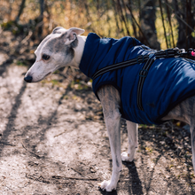 Laden Sie das Bild in den Galerie-Viewer, Doggykingdom® Winterjacke mit lebenslanger Garantie