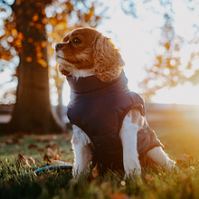 Laden Sie das Bild in den Galerie-Viewer, Doggykingdom® Winterjacke mit lebenslanger Garantie