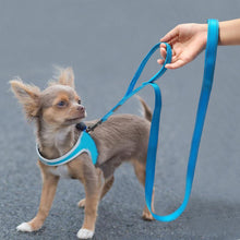Laden Sie das Bild in den Galerie-Viewer, Hundeleine mit doppeltem Griff für Kontrolle/Sicherheit/Training
