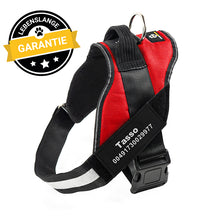 Laden Sie das Bild in den Galerie-Viewer, Personalisierbares Doggykingdom® Anti-Zug-Geschirr - Lebenslange Garantie