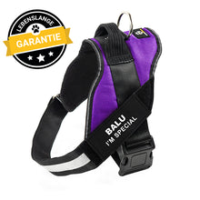 Laden Sie das Bild in den Galerie-Viewer, Personalisierbares Doggykingdom® Anti-Zug-Geschirr - Lebenslange Garantie